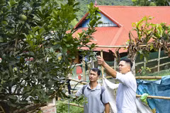 Anh Nguyễn Khang Dũng hướng dẫn người dân trong xã Chiềng Sinh, tỉnh Điện Biên về chăm sóc cây ăn quả. (Ảnh: Xuân Tư/TTXVN)