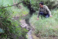 Phú Yên: Ô nhiễm từ trang trại chăn nuôi lợn, gây bức xúc dư luận