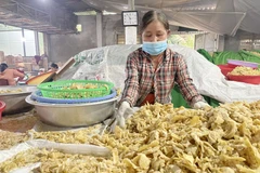 Sản xuất mứt gừng tại làng mứt gừng Mỹ Chánh, xã Hải Chánh (Hải Lăng, Quảng Trị). (Ảnh: Thanh Thủy/TTXVN)