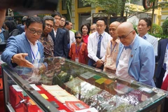 Các đại biểu tham quan triển lãm. (Ảnh: Thu Hoài/TTXVN)