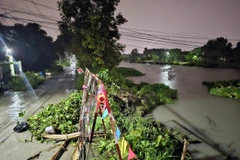 Hai cây cầu dân sinh bị cuốn trôi sau cơn mưa lớn vào tối qua tại thành phố Thuận An (Bình Dương). (Ảnh: TTXVN phát)