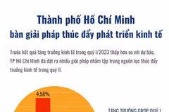 [Infographics] Thành phố Hồ Chí Minh bàn giải pháp thúc đẩy phát triển