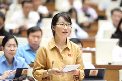 Đại biểu Quốc hội Thành phố Hồ Chí Minh Trần Thị Diệu Thúy đặt câu hỏi chất vấn. (Ảnh: Minh Đức/TTXVN)