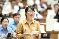 Đại biểu Quốc hội Thành phố Hồ Chí Minh Trần Thị Diệu Thúy đặt câu hỏi chất vấn. (Ảnh: Minh Đức/TTXVN)