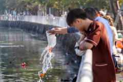 Trong ngày này, cá chép là vật cúng không thể thiếu bởi nhiều người tin rằng, Táo quân sẽ cưỡi cá chép bay về trời để báo cáo về chuyện làm ăn, cư xử của gia đình trong năm vừa qua. (Ảnh: Tuấn Đức/TTXVN) 