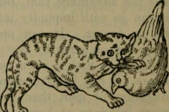 Mèo là loài cứu tinh cho nền nông nghiệp cổ đại và quan trọng hơn hết là cứu tinh của loài người (Ảnh: Internet Archive Book Images/Wikimedia Commons).