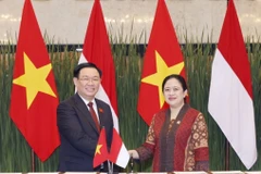 Chủ tịch Quốc hội Vương Đình Huệ và Chủ tịch Hạ viện Indonesia Puan Maharani. (Ảnh: Doãn Tấn/TTXVN) 