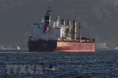 Tàu chở ngũ cốc của Ukraine di chuyển qua Eo biển Bosphorus trên Biển Đen ngày 2/11/2022. (Ảnh: AFP/TTXVN) 