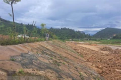 Ảnh minh họa. (Nguồn: TTXVN)