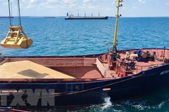 Chuyển ngũ cốc lên tàu tại cảng Azov, vùng Rostov, Nga, ngày 22/7/2023. (Nguồn: AFP/TTXVN)