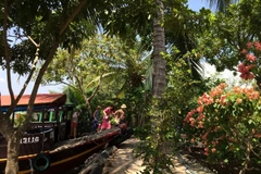 Du khách ghé vào thăm miệt vườn ở tỉnh Tiền Giang. (Ảnh: Xuân Mai/Vietnam+) 