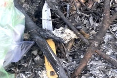 Hung khí đối tượng Hải đã sử dụng gây án. (Ảnh: TTXVN phát)