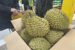 Sầu riêng Rie 6 bán tại một siêu thị châu Á ở London. (Ảnh: TTXVN phát)
