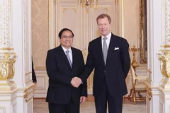 Thủ tướng Phạm Minh Chính hội kiến Đại Công tước Luxembourg Henri. (Ảnh: Dương Giang/TTXVN) 