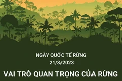 [Infographics] Ngày quốc tế về Rừng năm 2023: “Rừng và Sức khỏe”