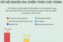 [Infographics] Tỷ lệ số hộ nghèo đa chiều phân theo các vùng