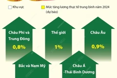 Tăng lương thực tế năm 2024 ở Châu Á-Thái Bình Dương cao nhất thế giới 