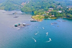 Điểm du lịch bản Bích Trụ, xã Hòa Bình, thành phố Hòa Bình. (Ảnh: TTXVN phát)