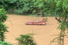 Ảnh minh họa. (Ảnh: TTXVN phát)