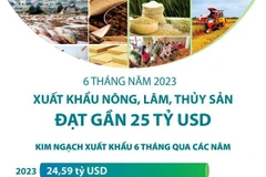 Xuất khẩu nông, lâm, thủy sản trong 6 tháng năm 2023 đạt gần 25 tỷ USD