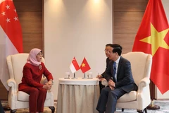 Chủ tịch nước Võ Văn Thưởng gặp Tổng thống Singapore Halimah Yacob. (Ảnh: Thống Nhất/TTXVN) 