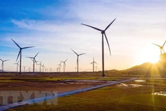 Năng lượng tái tạo là lĩnh vực hợp tác tiềm năng giữa Việt Nam và UAE. (Nguồn: TTXVN)