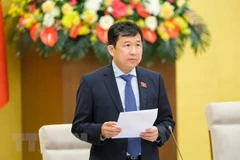 Chủ nhiệm Ủy ban Đối ngoại của Quốc hội Vũ Hải Hà. (Ảnh: Minh Đức/TTXVN)