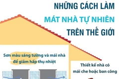 [Infographics] Những cách làm mát nhà tự nhiên trên thế giới