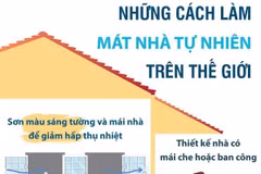 [Infographics] Những cách làm mát nhà tự nhiên trên thế giới
