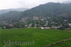 Ảnh minh họa. (Ảnh: Hùng Võ/Vietnam+) 