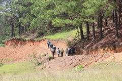Sở Văn hóa, Thể thao và Du lịch Bình Thuận vừa phối hợp với Sở Văn hóa, Thể thao và Du lịch Lâm Đồng tổ chức chương trình khảo sát trekking (đi bộ đường dài dã ngoại) trên cung đường Tà Năng (huyện Đức Trọng, tỉnh Lâm Đồng)-Phan Dũng (huyện Tuy Phong, tỉn