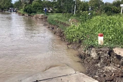 Tuyến đường từ xã Tân Tiến về trung tâm xã Nguyễn Huân, Cà Mau bị sạt lở hoàn toàn với chiều dài khoảng 110m. (Ảnh: TTXVN phát)