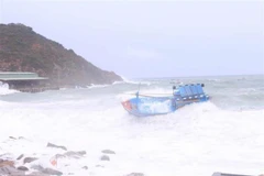 Ảnh minh họa. (Ảnh: TTXVN phát)