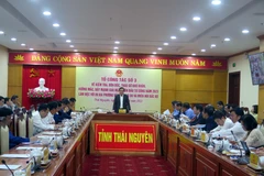 Phó Thủ tướng Trần Lưu Quang phát biểu chỉ đạo tại hội nghị. (Ảnh: Thu Hằng/TTXVN)