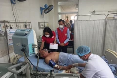 Các bệnh nhân trong vụ tai nạn thương tâm đang được tích cực điều trị tại bệnh viên Đa khoa Trung ương Quảng Nam. (Ảnh: Trịnh Bang Nhiệm/TTXVN)