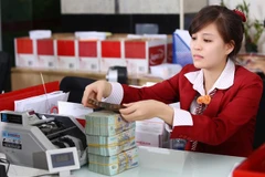 (Ảnh: CTV/Vietnam+)