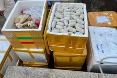 Đắk Lắk: Bắt xe tải vận chuyển thực phẩm, mỹ phẩm không rõ nguồn gốc