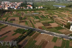 Cánh đồng chuyên canh trồng rau, củ, quả đảm bảo an toàn ở xã Tiền Yên, huyện Hoài Đức (Hà Nội), nhìn từ trên cao. (Ảnh: Vũ Sinh/TTXVN) 