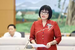 Thứ trưởng Bộ Tư pháp Đặng Hoàng Oanh. (Ảnh: Doãn Tấn/TTXVN)