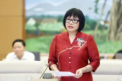 Thứ trưởng Bộ Tư pháp Đặng Hoàng Oanh. (Ảnh: Doãn Tấn/TTXVN)