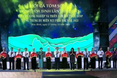 Các đại biểu cắt băng khai mạc lễ hội. (Ảnh: Trọng Đạt/TTXVN)