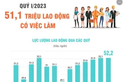 [Infographics] 51,1 triệu lao động có việc làm trong quý 1 năm 2023