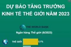 [Infographics] Dự báo tăng trưởng kinh tế thế giới năm 2023