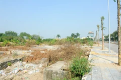 Ô đất giải tỏa vi phạm sẽ được huyện Đông Anh giao cho các xã quản lý. (Ảnh: Mạnh Khánh/TTXVN)