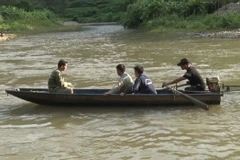 Ảnh minh họa. (Nguồn: TTXVN)