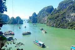 Vịnh Hạ Long có gần 2.000 hòn đảo lớn nhỏ, được thiên nhiên ban tặng vẻ đẹp kỳ vĩ, độc đáo. (Ảnh: Thanh Vân/TTXVN) 