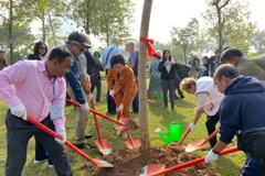 Trồng cây hữu nghị tại Công viên Hòa Bình nhân 50 năm Hiệp định Paris