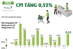 [Infographics] Chỉ số giá tiêu dùng tháng 1 năm 2023 tăng 0,52%
