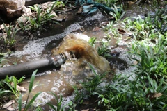 Nước thải hôi thối từ trại heo chảy ra vườn cao su của dân. (Ảnh: Cao Nguyên/TTXVN)