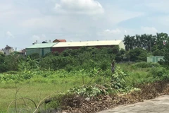 Ảnh minh họa. (Nguồn: TTXVN)